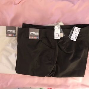 Avenue Signature Chino shorts